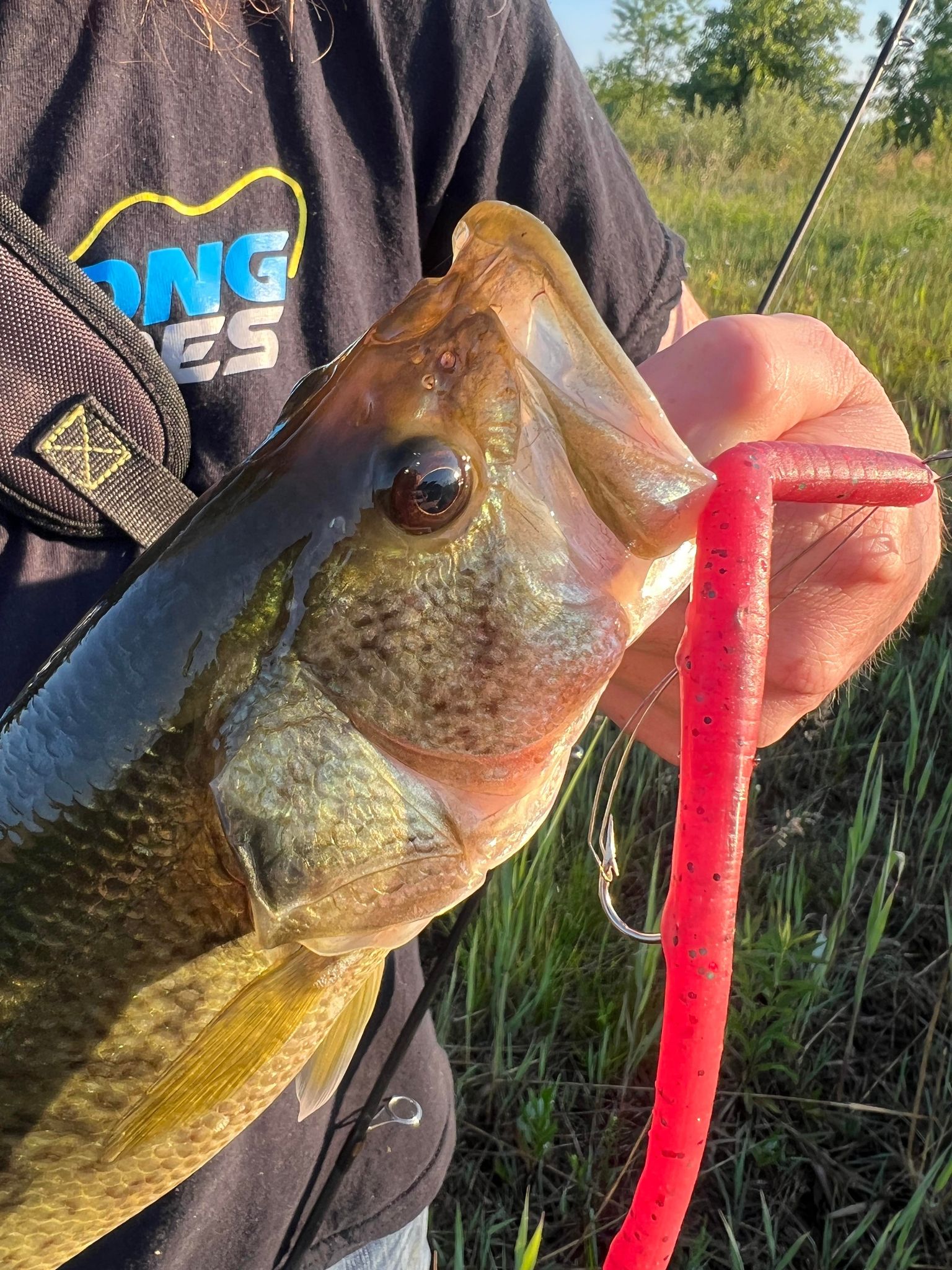 9 Pre-Rigged Weedless KILR Worm - Delong Lures