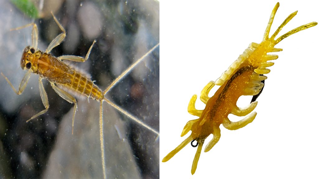 DeLong Mayfly Nymph Lure Next to Real Mayfly – Realistic Soft Plastic Bug Imitation