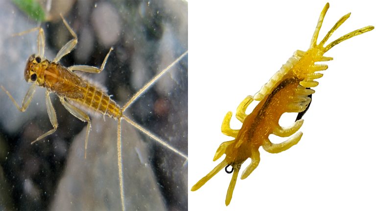 DeLong Mayfly Nymph Lure Next to Real Mayfly – Realistic Soft Plastic Bug Imitation