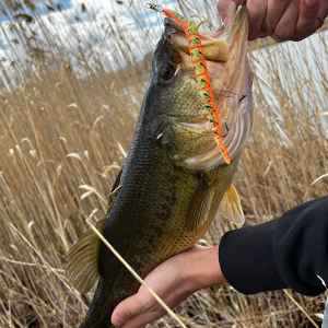 weedless bass lures best bass lures