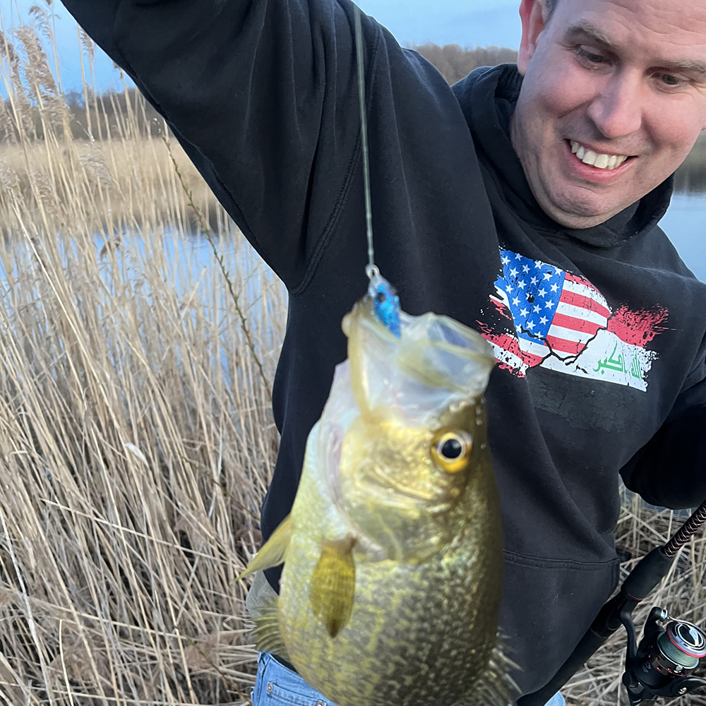 3 Medium Tadpole Weedless (2 Pack) - Delong Lures