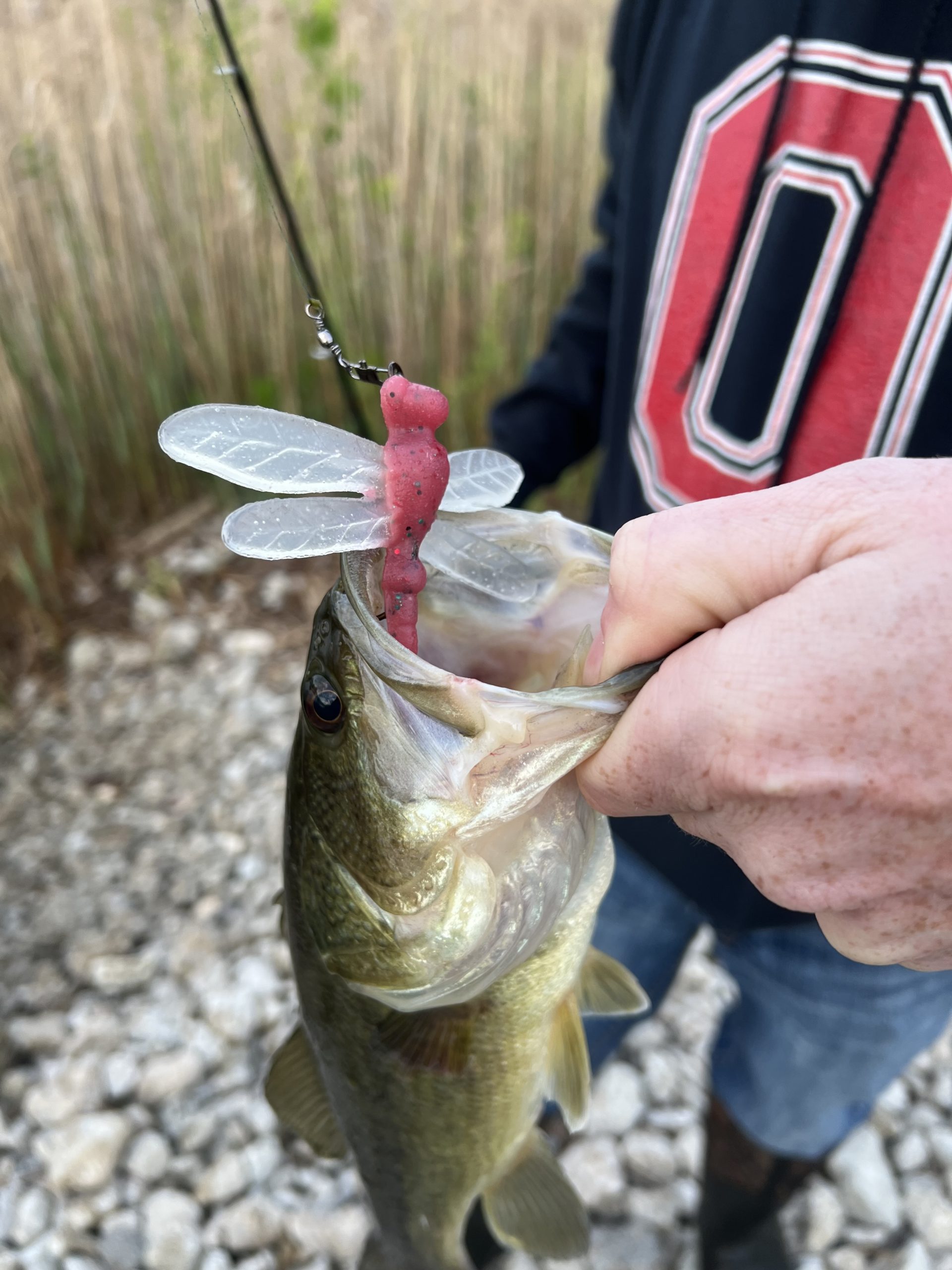 Large Dragonfly - Delong Lures