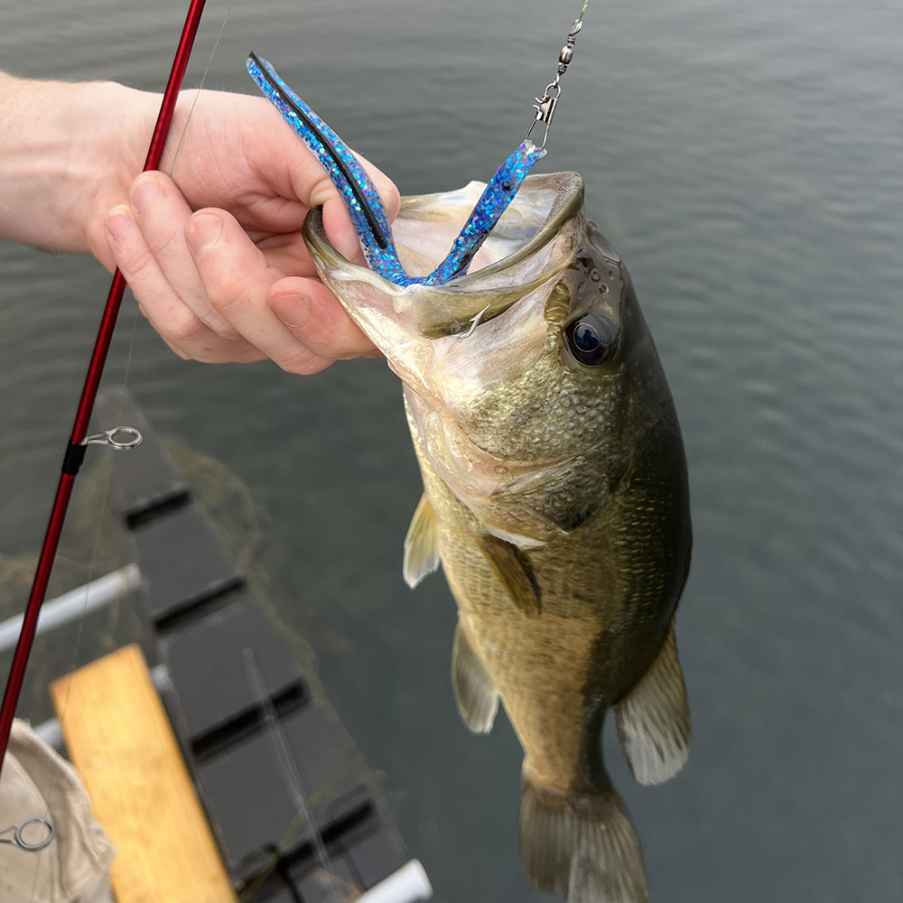 4.5 Weedless Twin Tail - Delong Lures