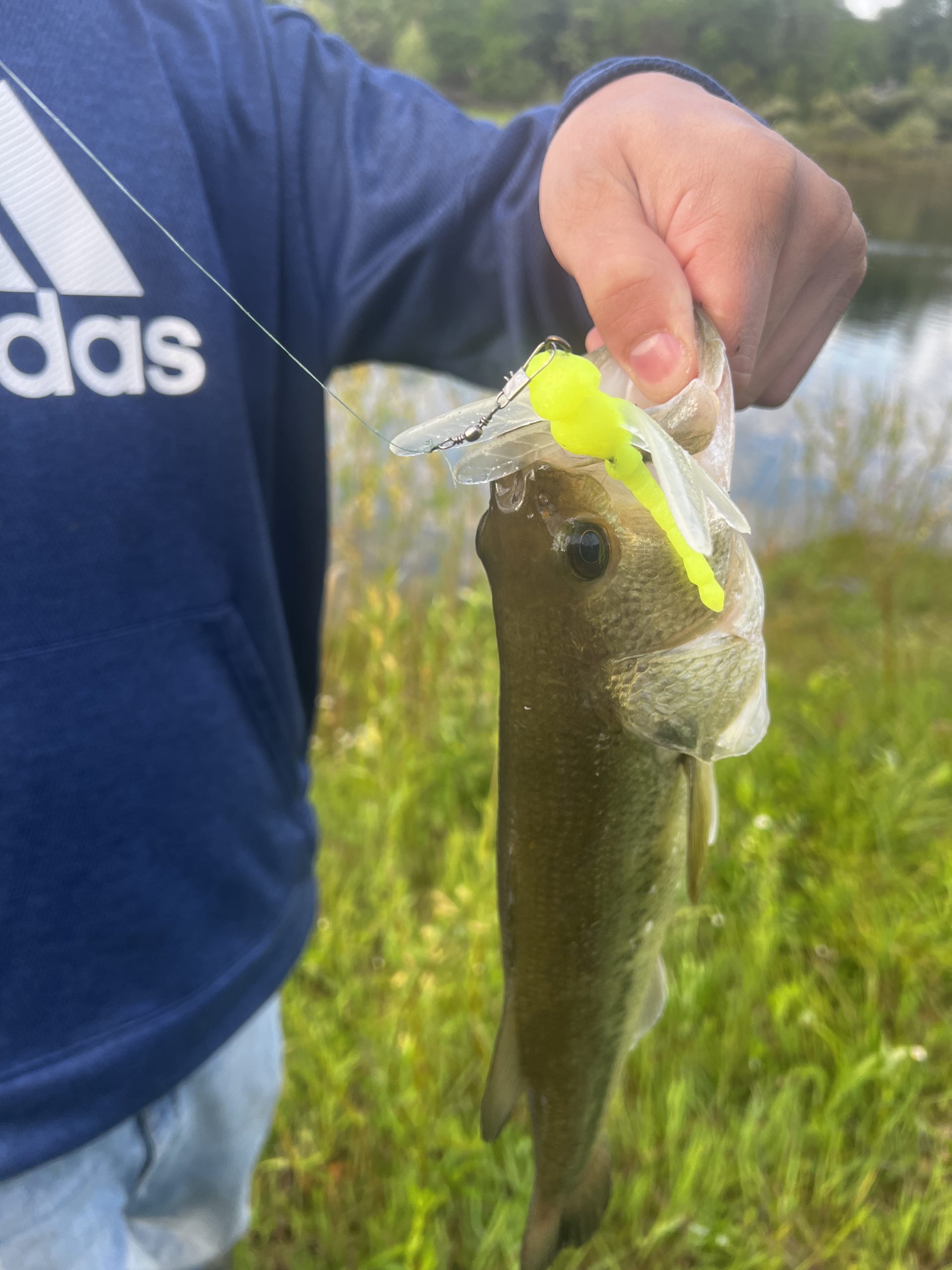 Large Dragonfly - Delong Lures