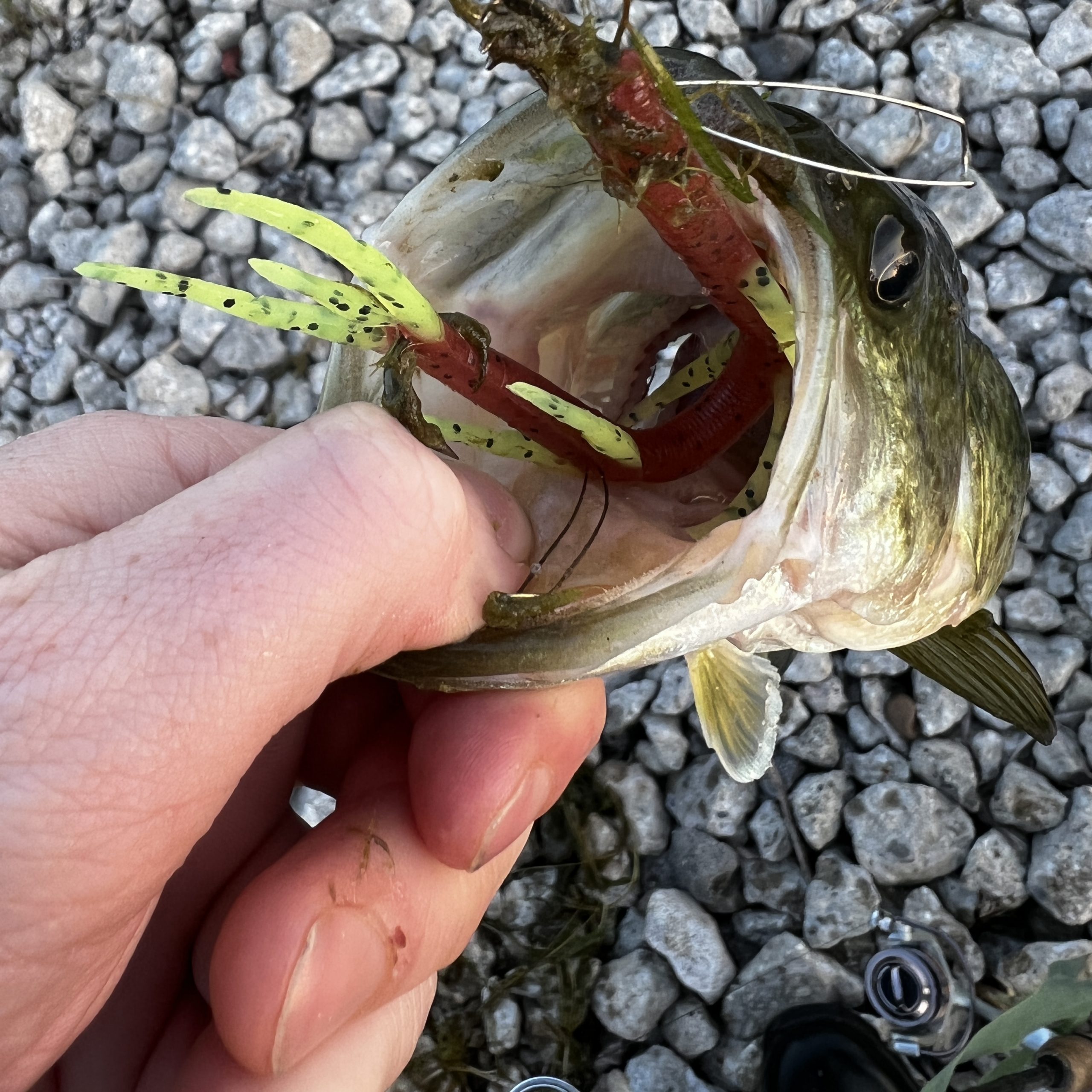  Delong Lures - 8 Bass Witch Pre Rigged Weedless Soft