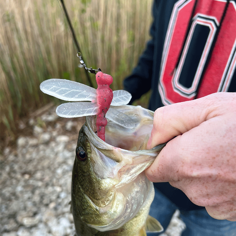 Home - Delong Lures