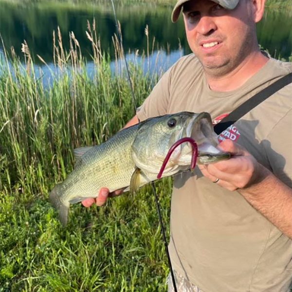 man with bass and pre-rigged fishing lure