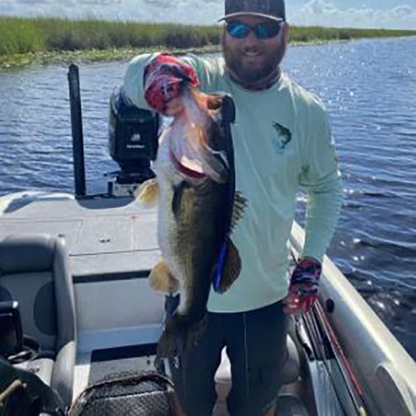 huge bass caught on black and blue DeLong Lures snake in Florida everglades