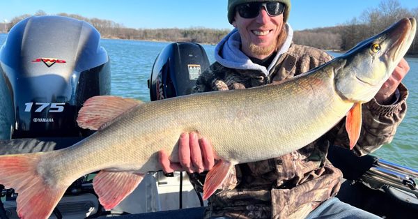 musky caught by a beginner fisherman with big rubber fishing lure