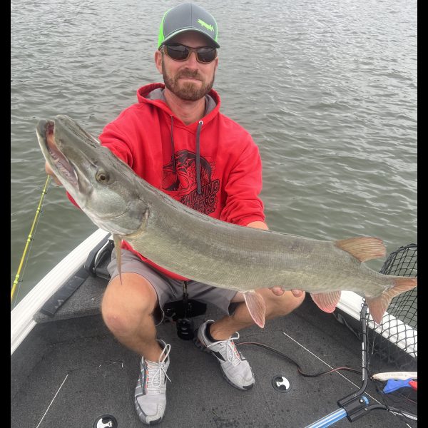 muskie being held by a guy who caught it with a bucktail for muskie