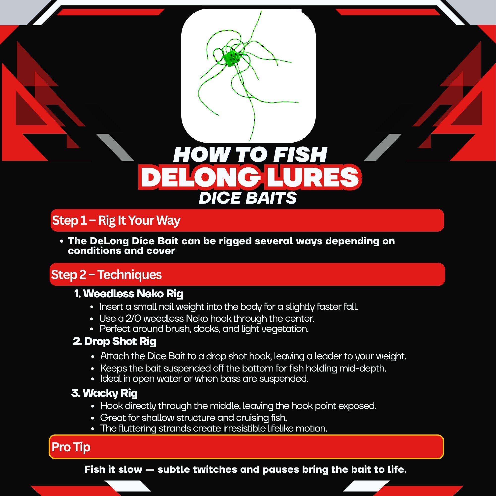 How to fish DeLong Dice Baits guide showing rigging and techniques infographic